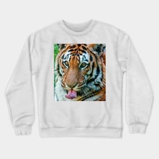 cli tasty Crewneck Sweatshirt